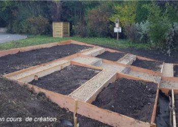 L’Isle-sur-la-Sorgue favorise la biodiversité dans les écoles