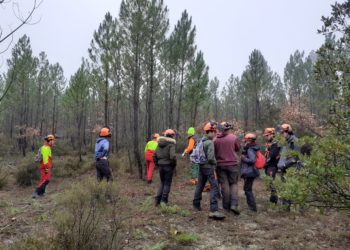 Villars : chantier de formation à la gestion forestière en Luberon