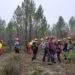 Villars : chantier de formation à la gestion forestière en Luberon