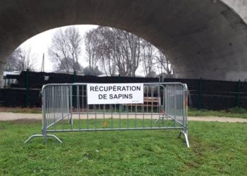 Avignon : où déposer votre sapin ?