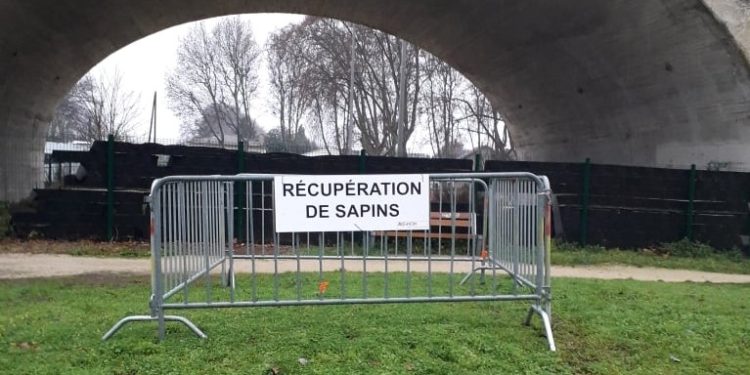 Avignon : où déposer votre sapin ?