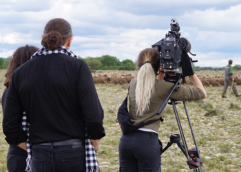 TF1, Brun de Vian Tiran mis à l’honneur au JT de 20h