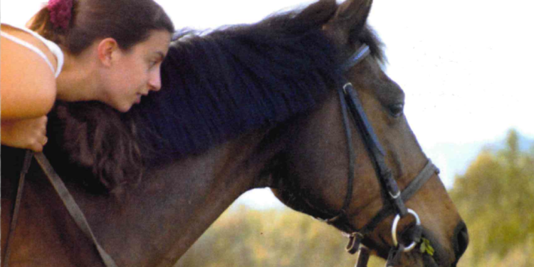 Il était une fois,  Far Away, un magnifique cheval et Sarah, 15 ans, ensemble ils vont vivre une fantastique aventure