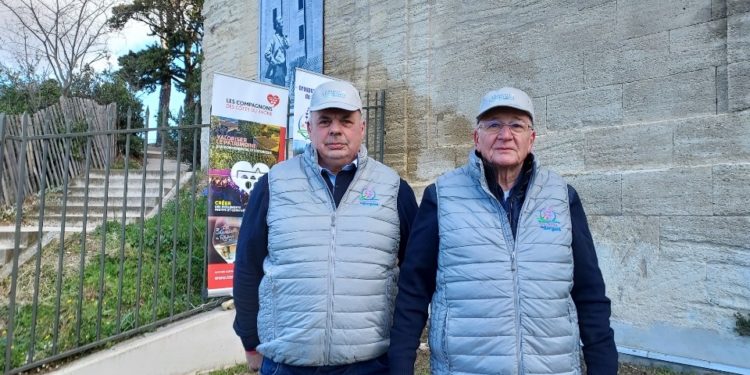 Des lavandes du Groupement ‘Senteurs des Sorgues’ au Rocher des Doms