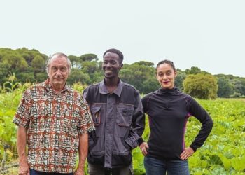 Une pétition pour Mocktar, ouvrier agricole à la Tour d’Aigues