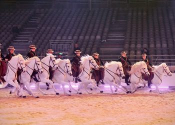 ‘Cheval passion’ maintenu jusqu’à nouvel ordre