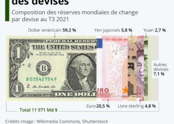Les monnaies les plus répandues dans les réserves de change