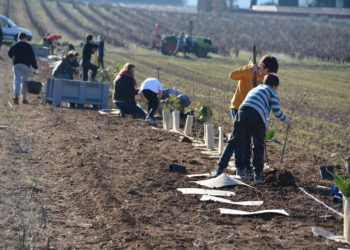 Les collégiens de Mazan plantent le décor