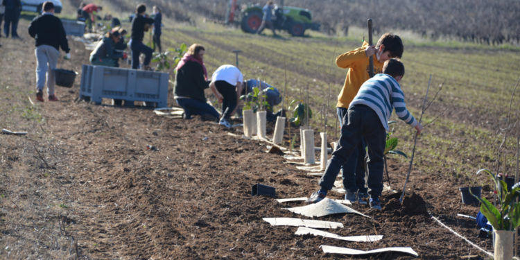 Les collégiens de Mazan plantent le décor