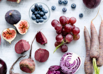 CPME 84 : Pitch party et visite de ProNatura