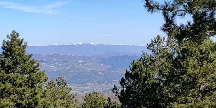 Face aux enjeux climatiques, les Communes forestières peuvent être aidées financièrement