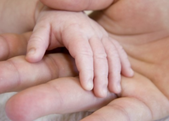 Le Livre qui décoiffe : ‘Le père, le fils et puis… Eva’, où quand James Bond est marseillais