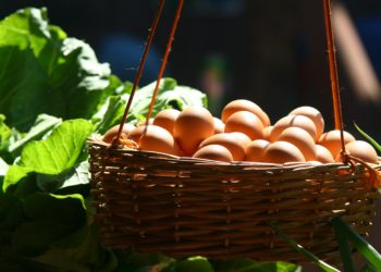 Et si l’on créait un drive de produits fermiers ?