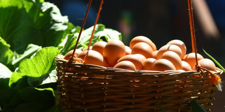 Et si l’on créait un drive de produits fermiers ?