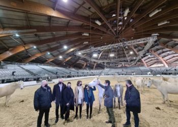 Avec Cheval Passion, place au deuxième événement le plus populaire de Vaucluse