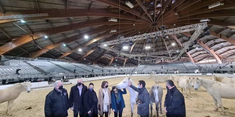 Avec Cheval Passion, place au deuxième événement le plus populaire de Vaucluse