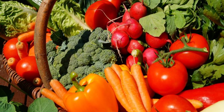 Relance : Anatoth reçoit une aide pour son projet agricole solidaire