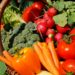 Relance : Anatoth reçoit une aide pour son projet agricole solidaire