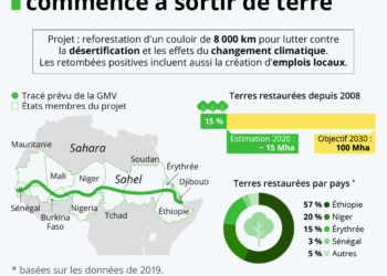 La Grande muraille verte commence (enfin) à sortir de terre