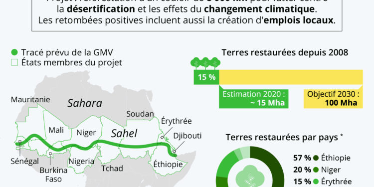 La Grande muraille verte commence (enfin) à sortir de terre - Actualité