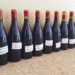 46 médailles pour les vins de l’AOC du Ventoux