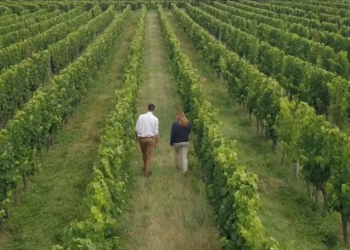 (Vidéo) Notariat : Un terrain d’entente avec les agriculteurs