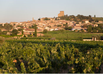 La FDSEA 84 en congrès à Châteauneuf-du-Pape