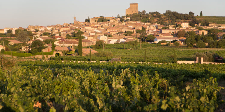 La FDSEA 84 en congrès à Châteauneuf-du-Pape
