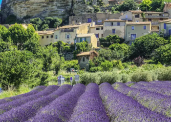 Changement climatique, Lucien Stanzione soutient les agriculteurs