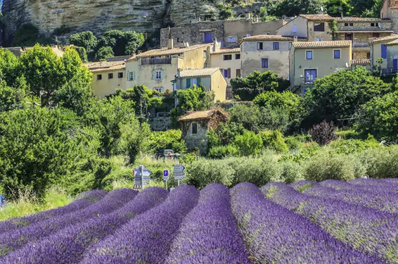 Changement climatique, Lucien Stanzione soutient les agriculteurs