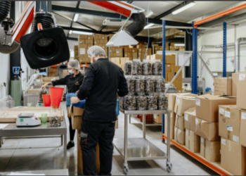 Puyméras, 2022, Plantin voit plus grand