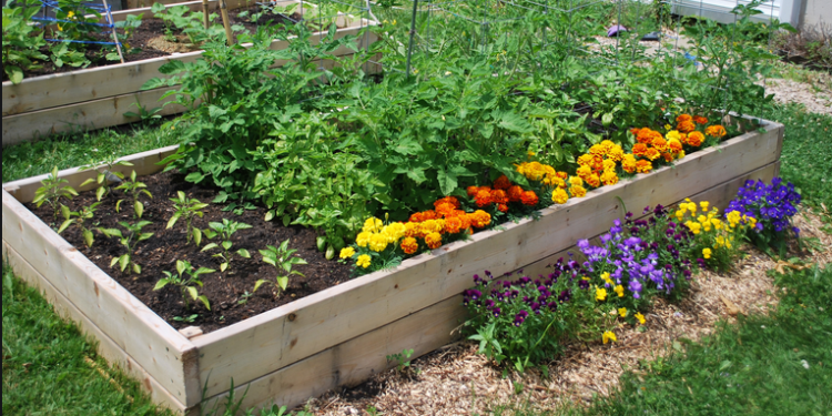 (Vidéo) Au sortir de l’hiver, vite au jardin !