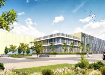 L’avignonnais GSE lance la construction d’une mûrisserie de fruits exotiques à Graveson