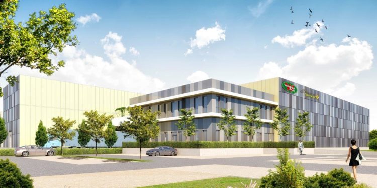 L’avignonnais GSE lance la construction d’une mûrisserie de fruits exotiques à Graveson