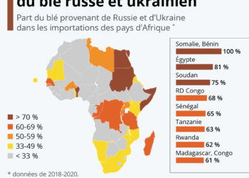 Ces pays africains qui dépendent du blé russe et ukrainien