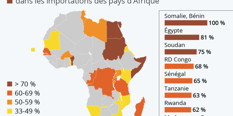Ces pays africains qui dépendent du blé russe et ukrainien
