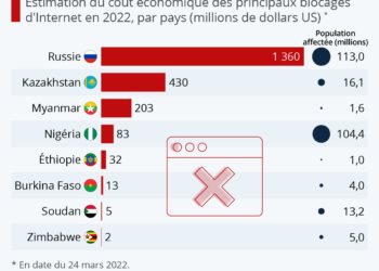 Combien coûtent les blocages d’Internet ?