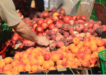 Carpentras fait appel à de nouveaux exposants pour son marché des producteurs