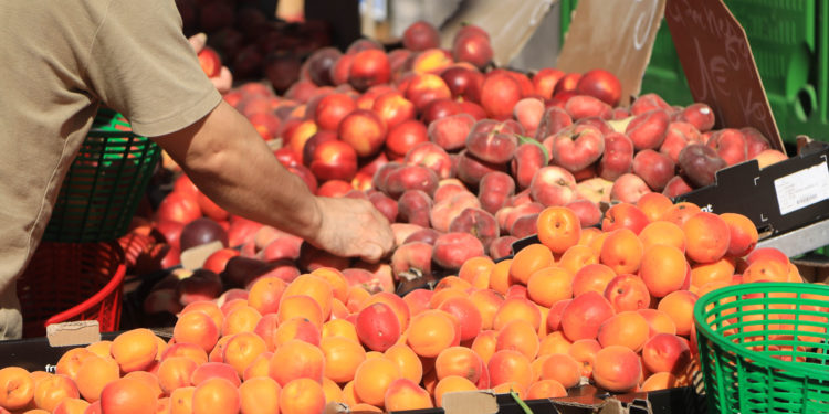 Carpentras fait appel à de nouveaux exposants pour son marché des producteurs