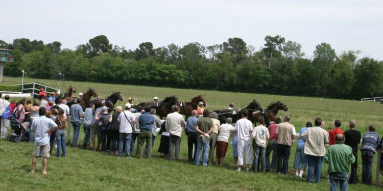 Course hippique : c’est reparti pour Roberty