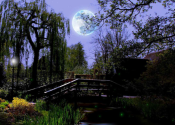 (Vidéo) Aimeriez-vous jardiner avec la lune ?