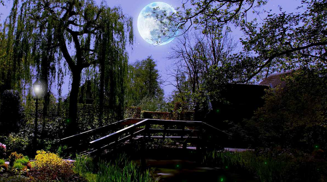 (Vidéo) Aimeriez-vous jardiner avec la lune ?