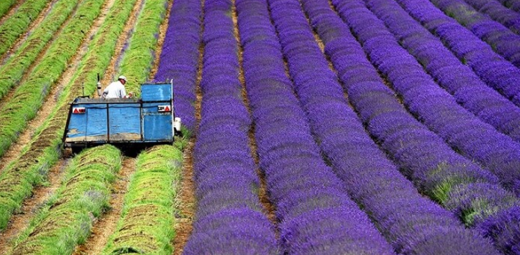 Lucien Stanzione, sénateur de Vaucluse ‘Le territoire n’attend pas’