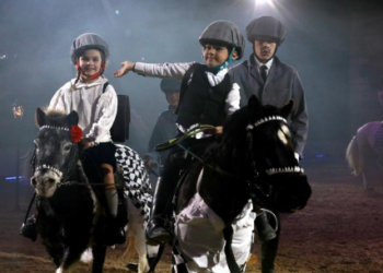 Collège Diderot à Sorgues : Les élèves de la classe Ulis récompensés pour leur participation à une vidéo