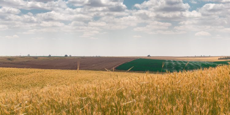 Ukraine : un champ de possibilités grâce aux friches de Vaucluse