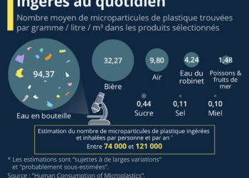 Les microplastiques ingérés au quotidien