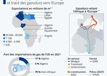 L’Afrique peut-elle offrir une alternative au gaz russe ?