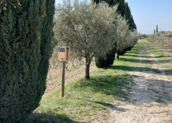 Cairanne : mésanges et chauves-souris sont les bienvenues au milieu des vignes