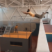 Avignon : compétition inédite de Parkour avec l’ANT
