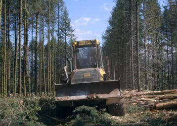 Valréas : projection-débat du film ‘Le temps des forêts’